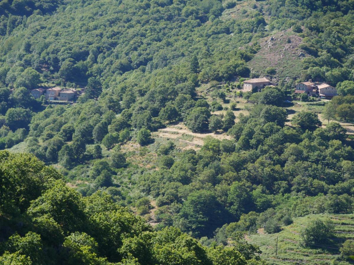 מלון Saint-Pierreville Le Temps Suspendu מראה חיצוני תמונה